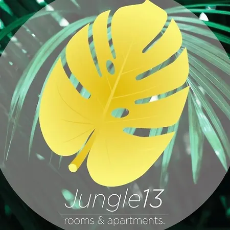 Jungle 13 - And Сasa de vacaciones